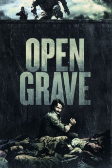 Open Grave (2013) download