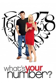 What's Your Number? (2011) download