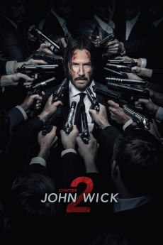 John Wick: Chapter 2 (2017) download